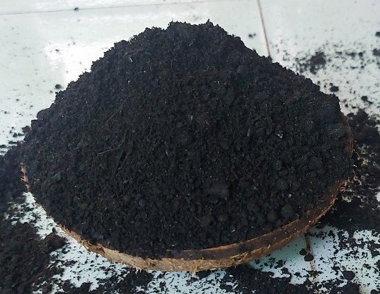 chanabico-dat-chuyen-trong-rau-vuon